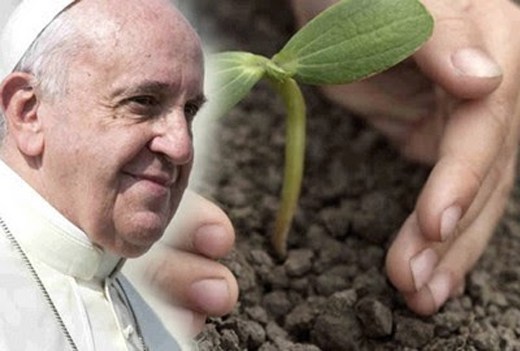 Mangalore set to implement Pope’s ’Laudato si’